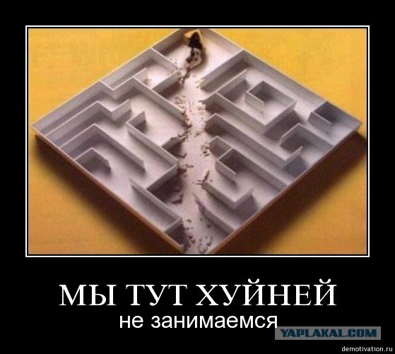 Паучка затроллили