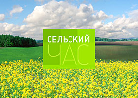Что смотрели в СССР