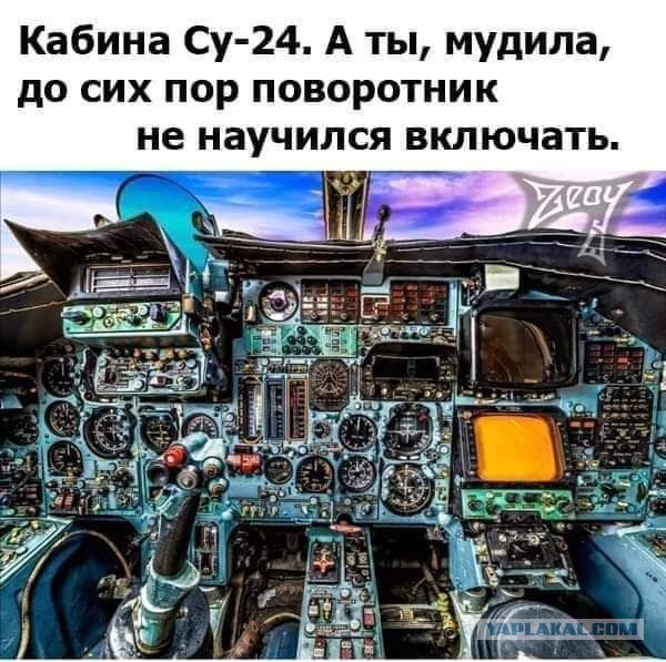 Всяческие картинки 09.07.2021