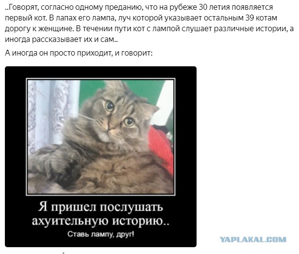 Что ждёт одиноких женщин за 35, которые продолжают перебирать мужчин