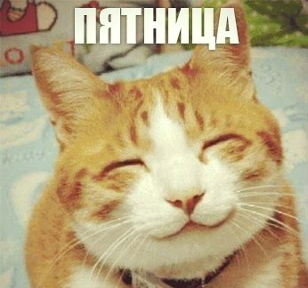 ПяТниЦо! (12.11.2021)