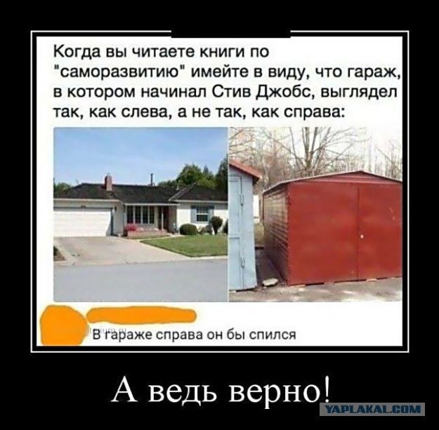 Всяческие картинки 22.11.2021