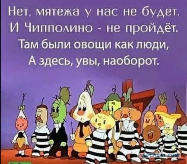 Перцовый баллончик и сломанный нос: кондукторы Казани пострадали от агрессивных пассажиров