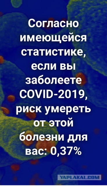 Посмотрите, что ожидает ваших детей