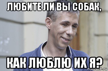 Топ громких расправ над живодёрами