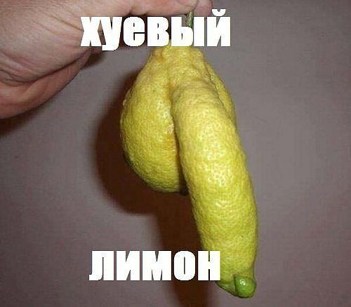 Весёлый полтишок 27.12
