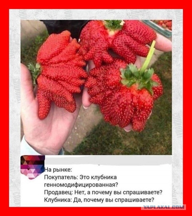 Баянисто-небаянистый юмор 28.12.21