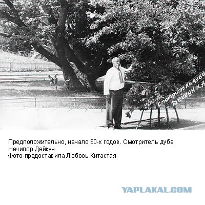 Фотографии послевоенного Запорожья