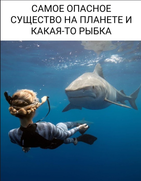 Картинки с надписями и всякие жизненные фразы