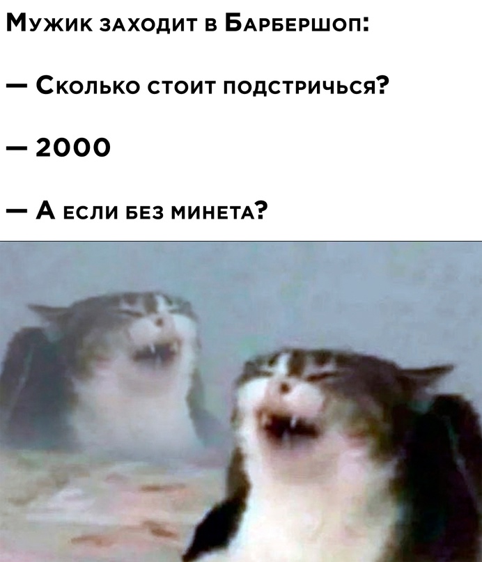 16829925.jpg