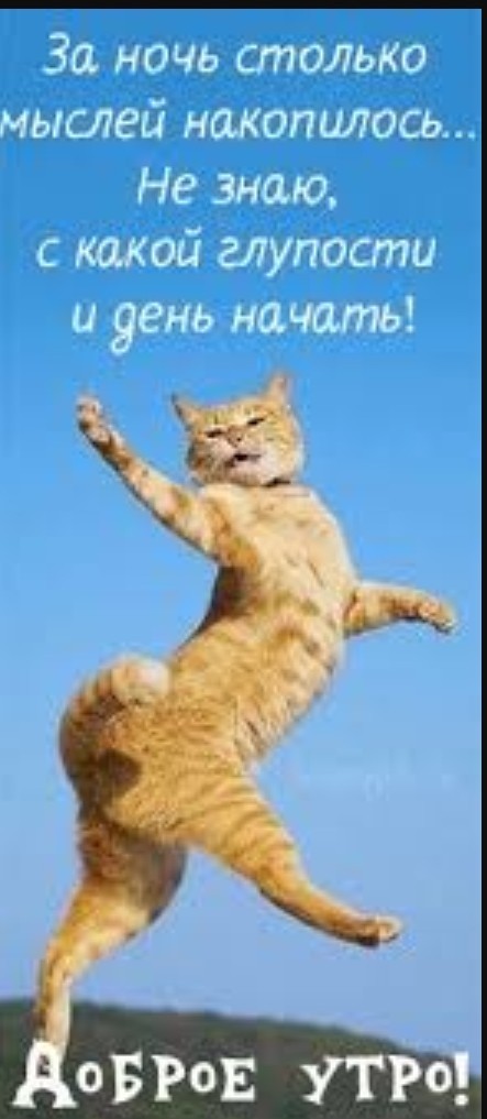 Зачем женщины забывают свое белье у парней дома?