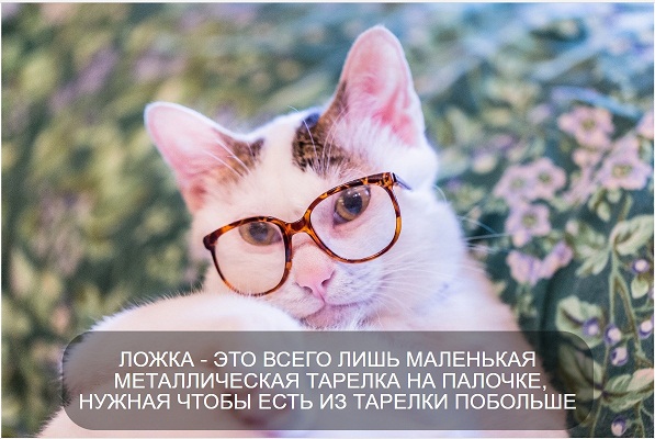 3 этапа жизни
