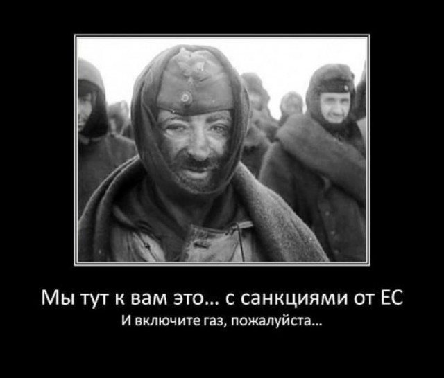 В Германии признали, что попытки найти замену российскому газу оказались провальными.