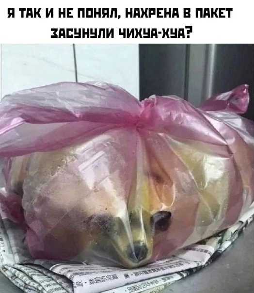 Немного картинок для настроения - 127