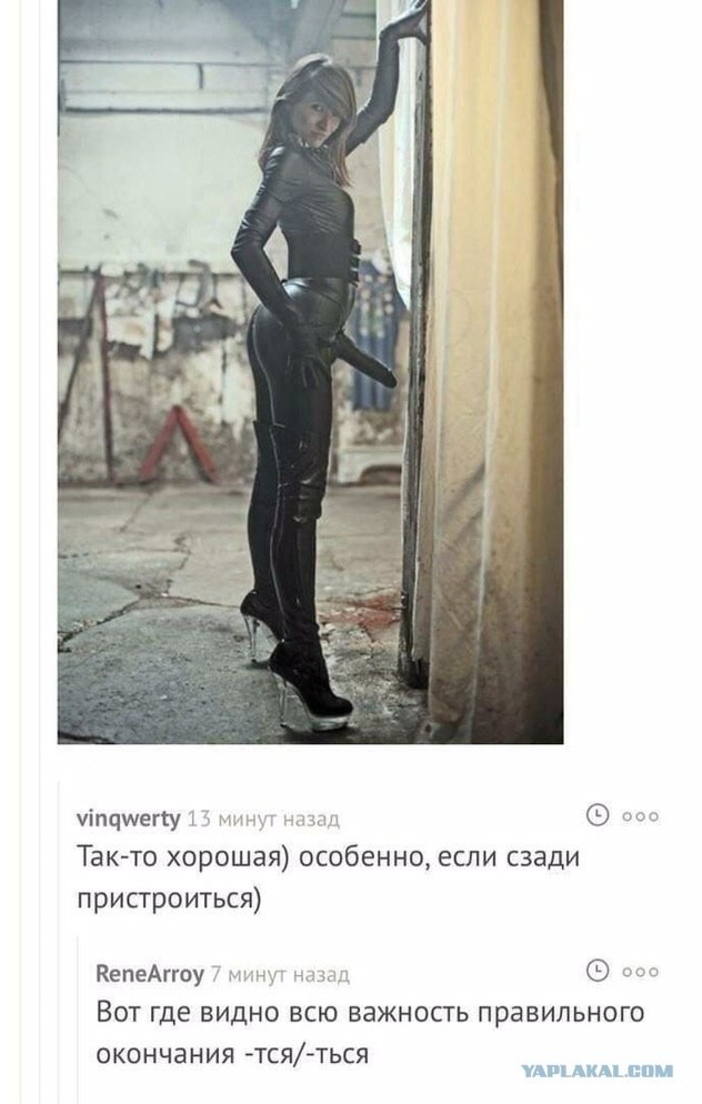 Весёлый полтишок 05.12.22