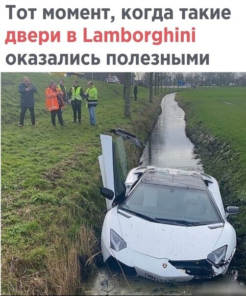Весёлый полтишок 26.12.2022