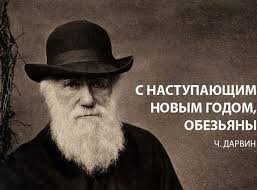 Выпал из окна