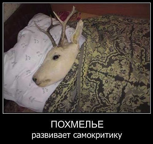Налетай! Халявные бойаны!