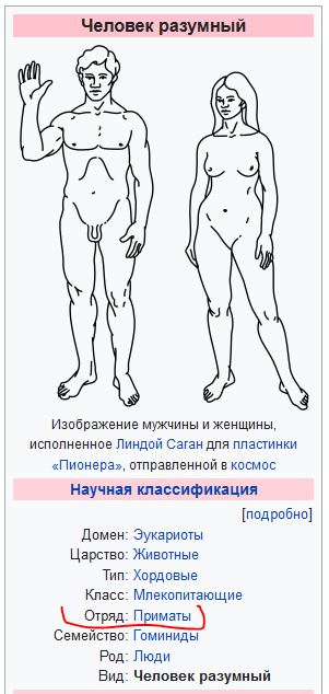 Хорошенькие, некоторые просто восхитительные