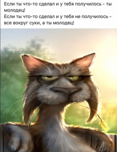 Картинки и мемы для настроения - 131