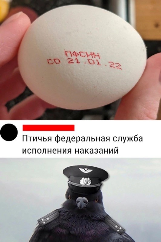 Женщины должны первые знакомиться и соблазнять