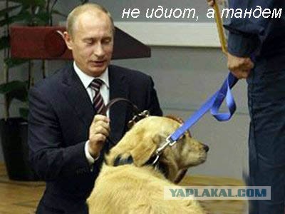 Наш хозяин идиот