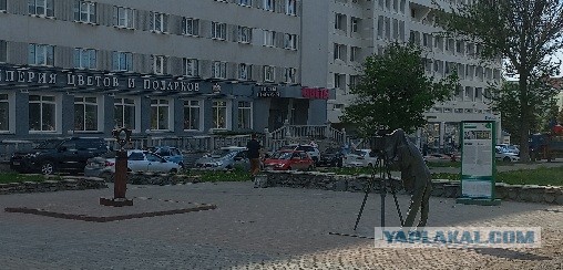Победная поступь идиотизма по планете – том 15