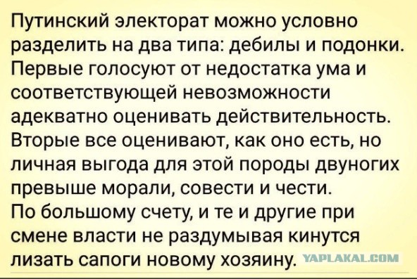 Рамзан Кадыров предложил временно отменить предстоящие выборы президента РФ ну или провести, но только с одним кандидатом