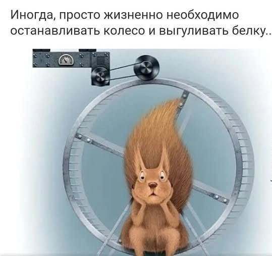 Весёлый полтишок 13.03.24