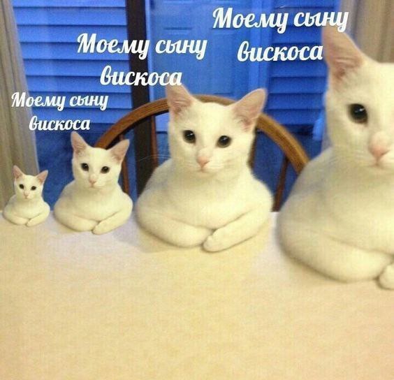 Всего понемногу. От 31.05.2024