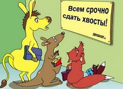 Так себе картинки 13.10.24