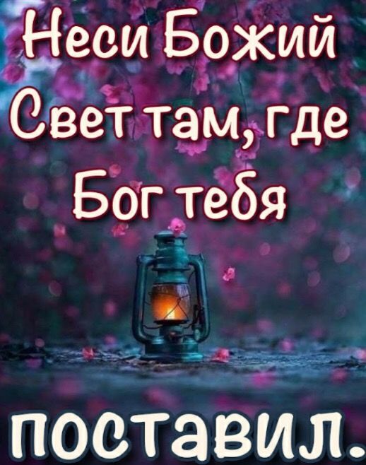 Прикольные и просто красивые картинки 04.12.2024