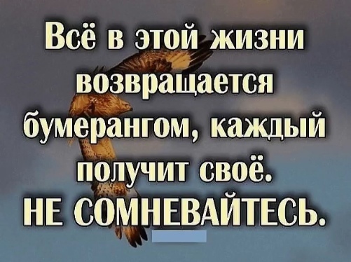 Похоже, статуэтки Оскара все на переплавку пошли