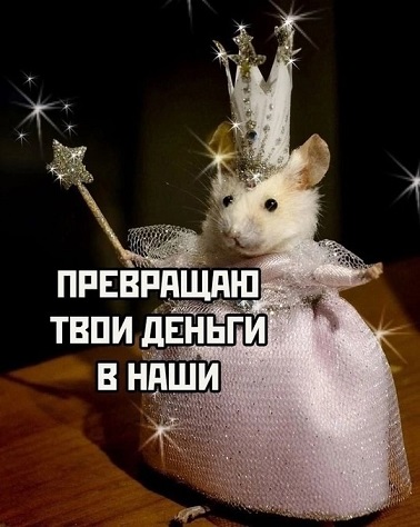 Доставка новостей