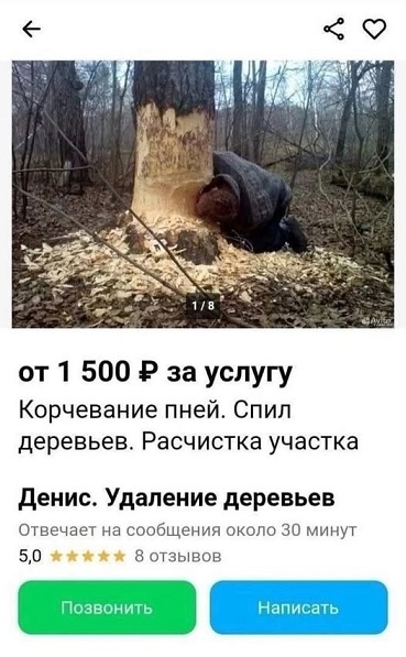 Начинайте свой день с чего-то положительного