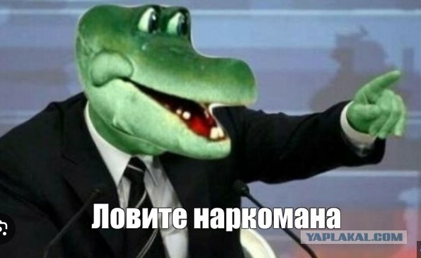 Крокодил в халате: Талисман наркобольницы в Екатеринбурге