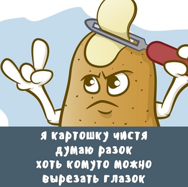 Папа, а кто такой диктатор?