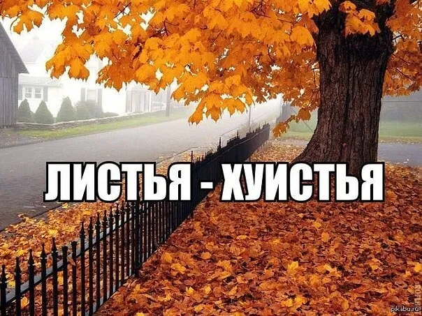 Сундук деграданта! Выпуск номер 8