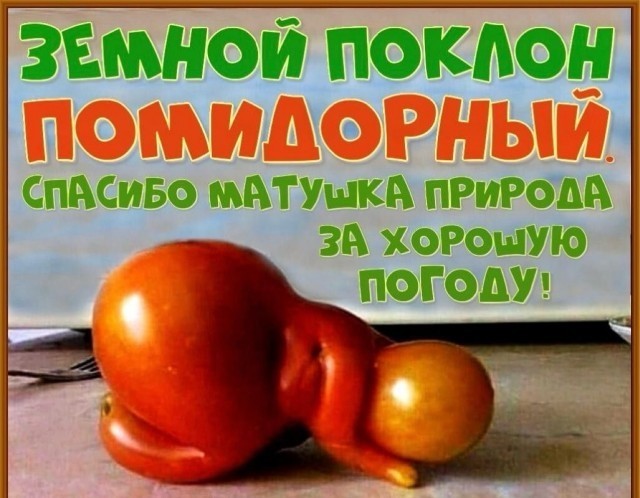 Веселое настроение в картинках (17.10.2025)