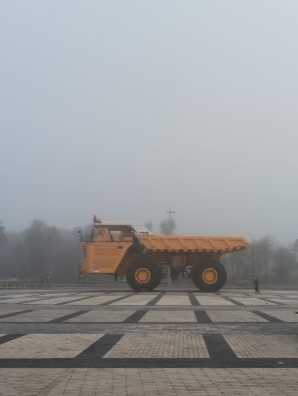 Муки выбора.