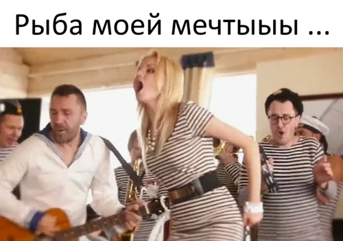 На российские маркетплейсы завезли мастурбатор в форме рыбы-ежа.