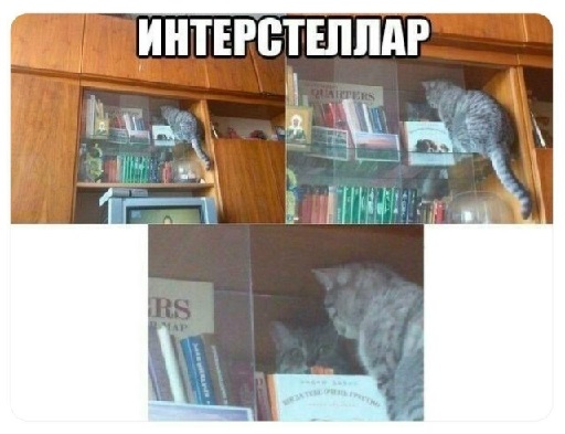 Ты чего избу не строишь?