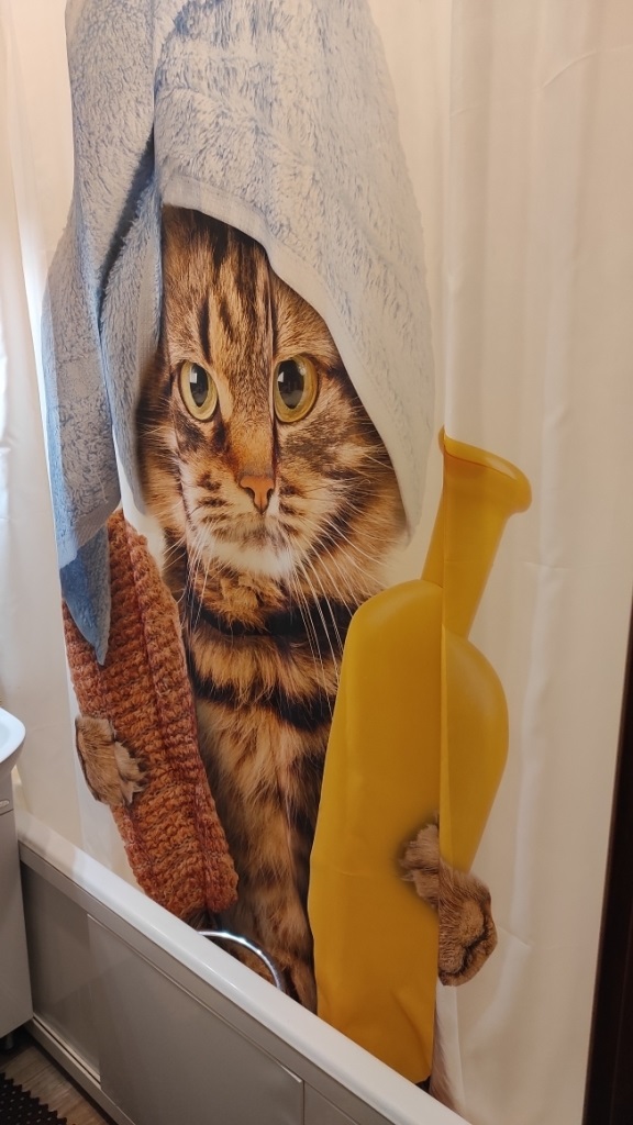 Жена ЯПовца