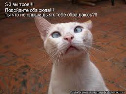 Товарищ или господин?
