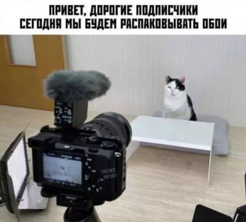 Картиночки, баянчики 15 марта