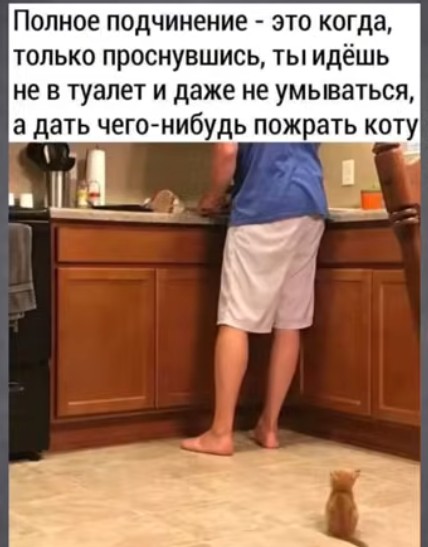 Картинки для деградации 184 (разной степени свежести)