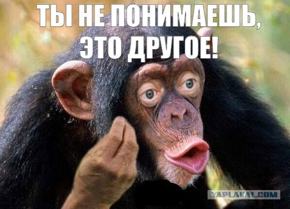Нацмессенджеру MAX грозит полная блокировка в браузерах