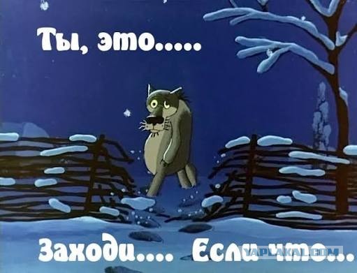 Стоит посветить на паутину — и её хозяин станет самым счастливым пауком на свете