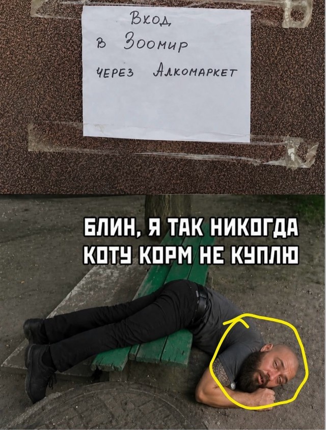 Веселое настроение в картинках 17.08.26