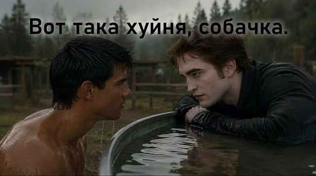В Москве снова смотрят «Сумерки». И собирают полные залы!